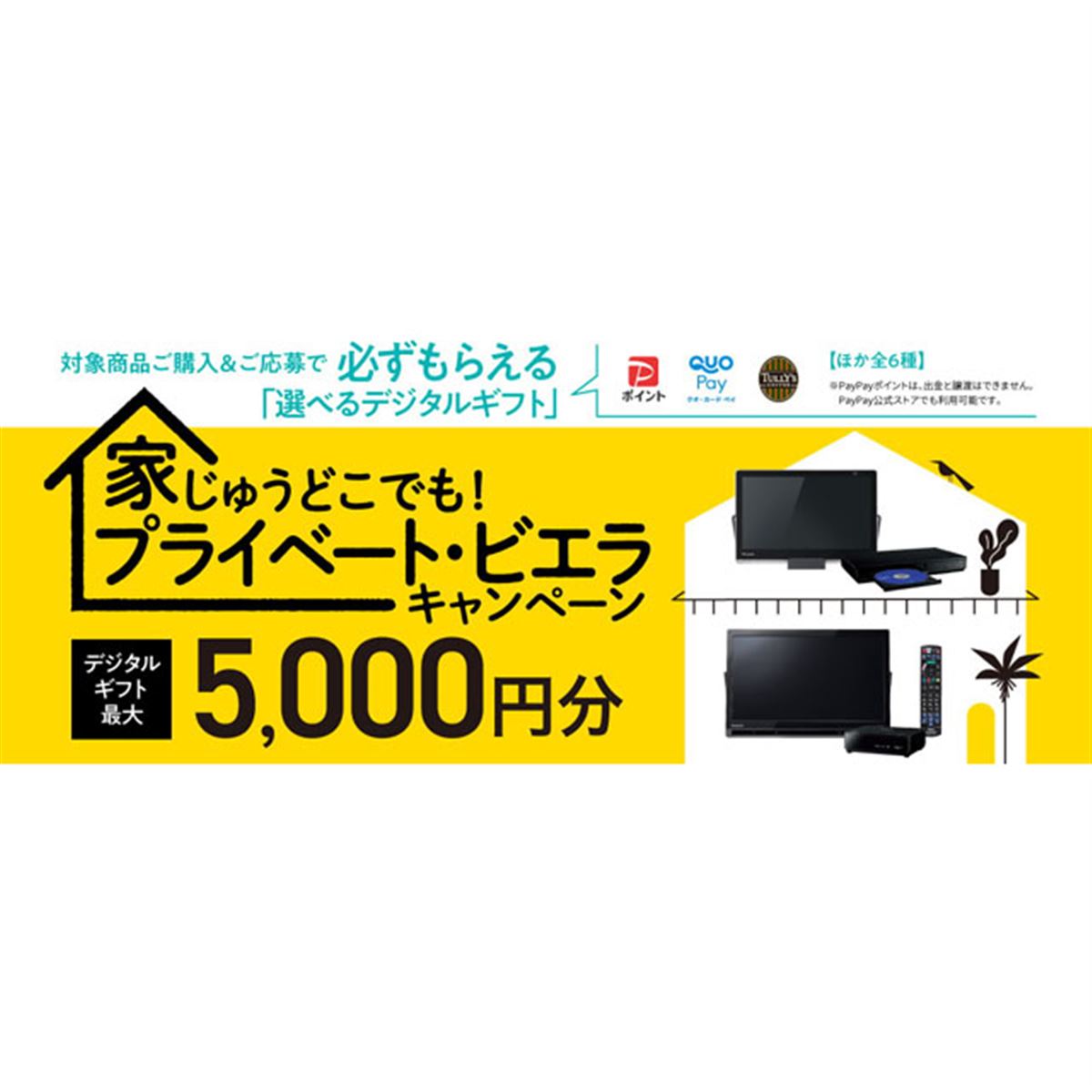 パナソニック、最大5,000円分還元の「プライベート・ビエラ