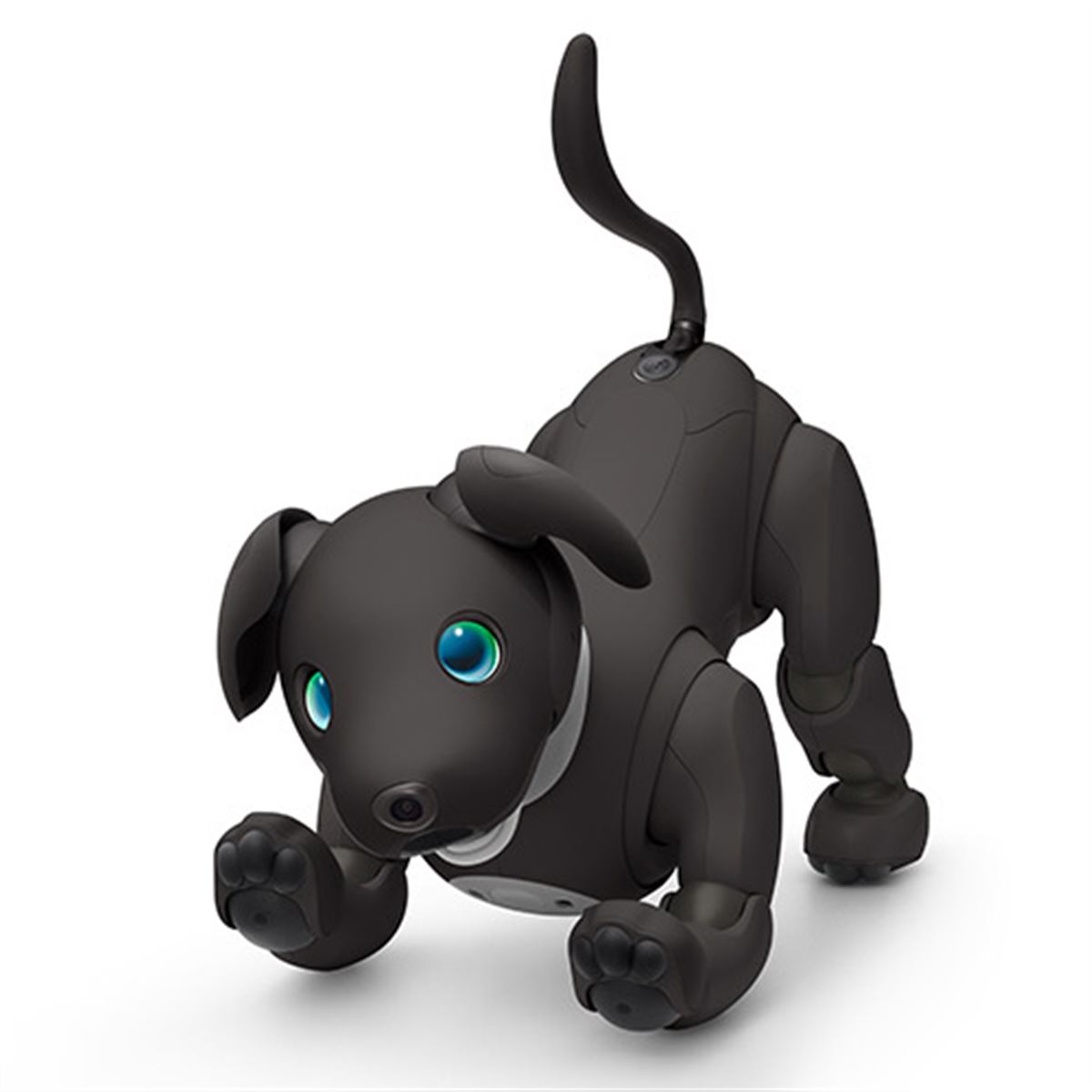 ソニー、「aibo（アイボ）」の2023年カラー「エスプレッソ エディション」予約開始 - 価格.com