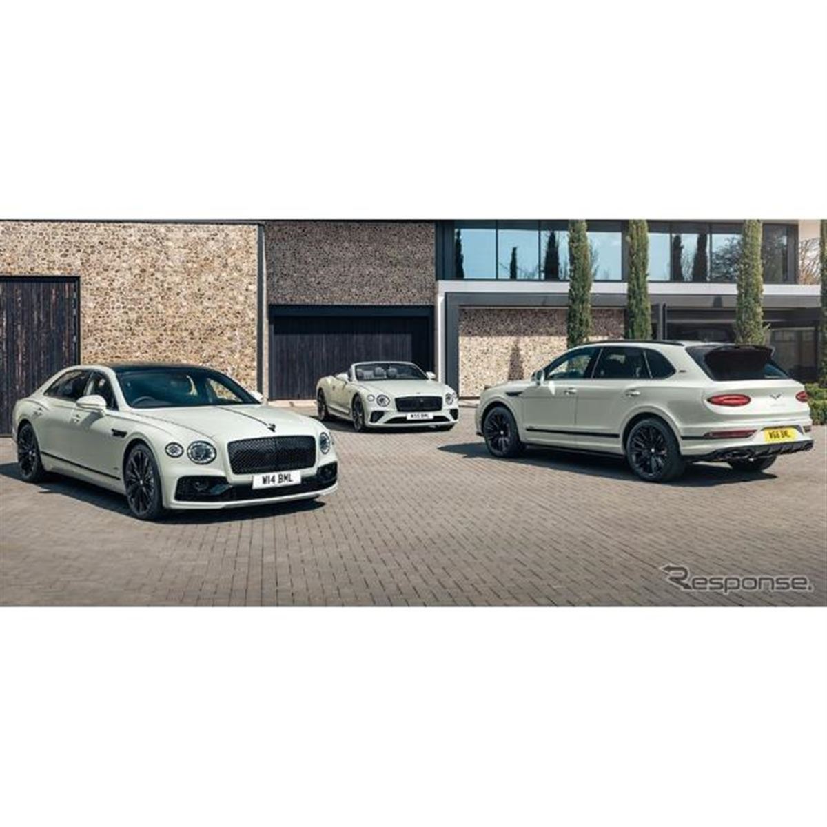 外車―ベントレーターボーエンジンリペアー済みフエルデスビ販売-決済御取り付け相談 外車―ベントレーターボーエンジンリペアー済みフエルデスビ販売-決済御