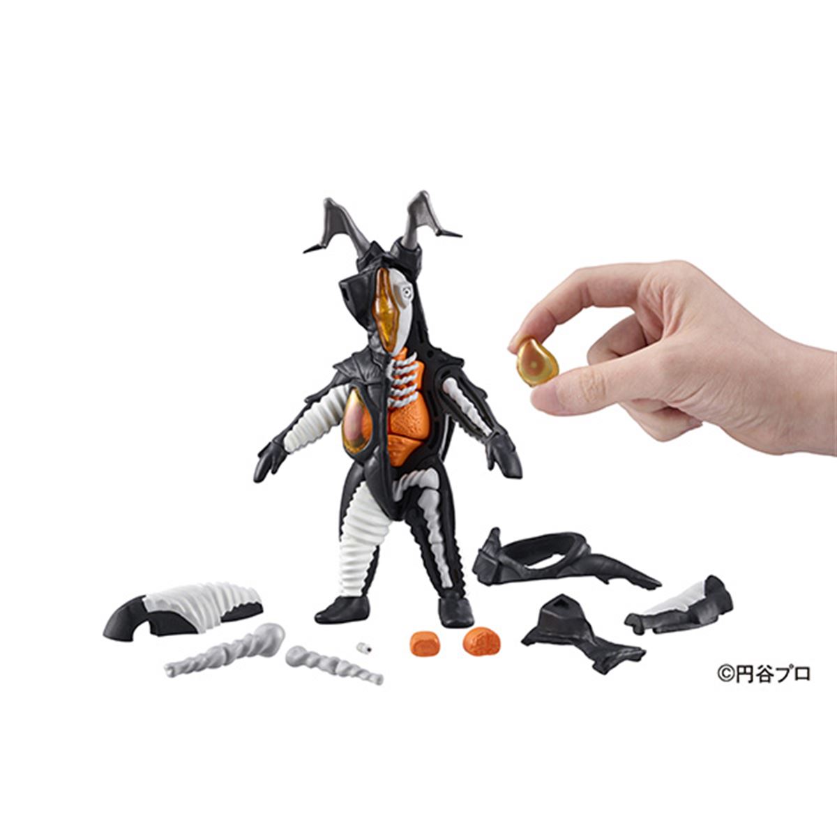 20230907111754_996_.jpg