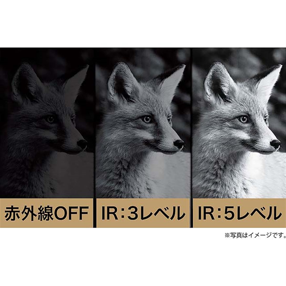 ケンコー、暗闇をモノクロ映像で映し出せる赤外線暗視カメラ