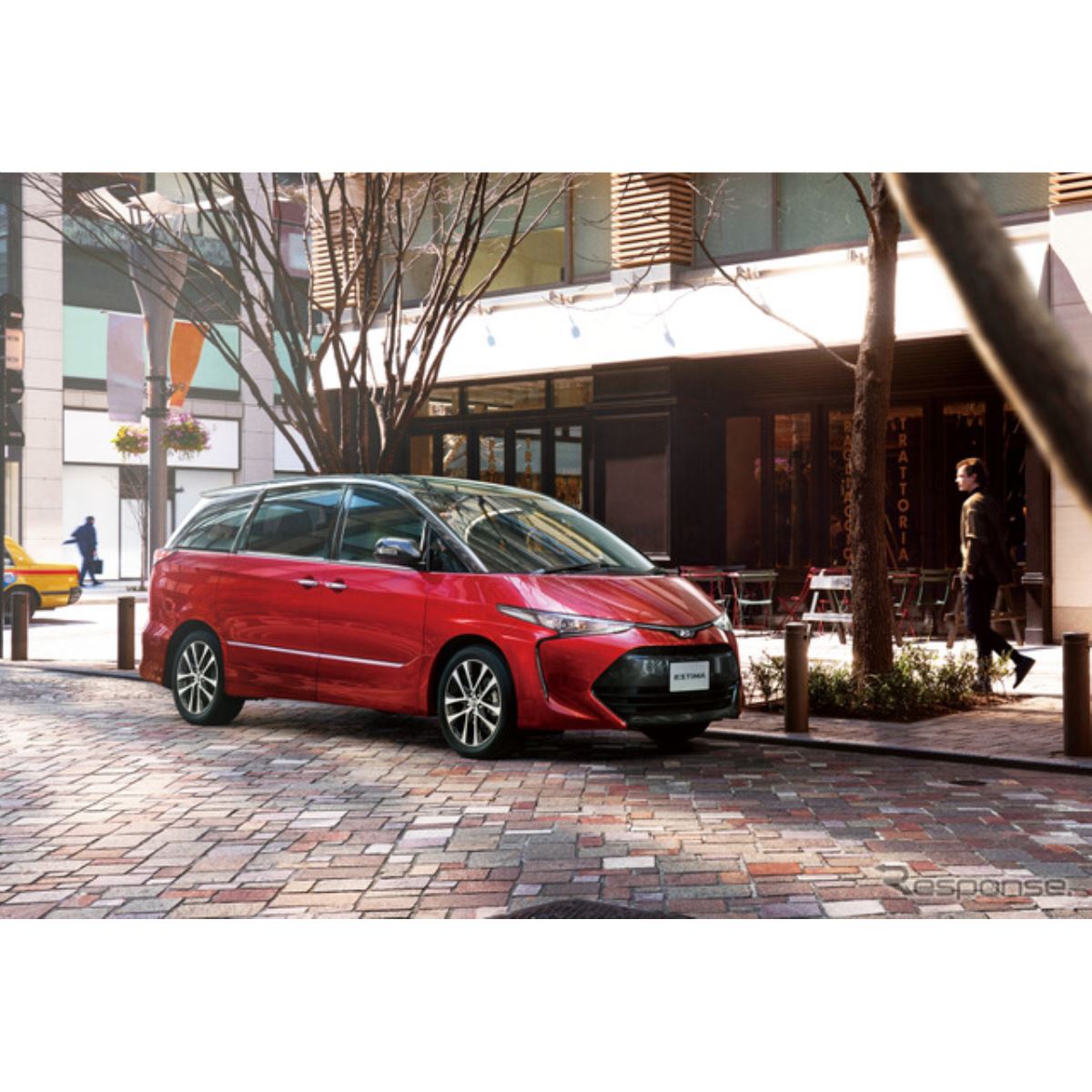 「エスティマさん専用」ニューモ エスティマさん専用」ニューモ エスティマさん専用」ニューモ Amazon