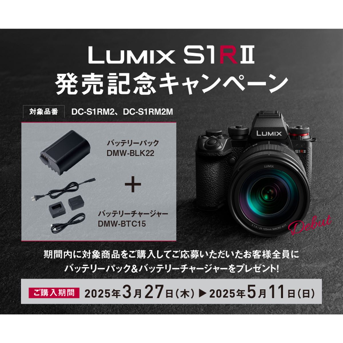 Panasonic DMC-G6 本体 バッテリー2個付き【値下げしました】 Amazon | str DMW-BLC12 パナソニック 互換バッテリー