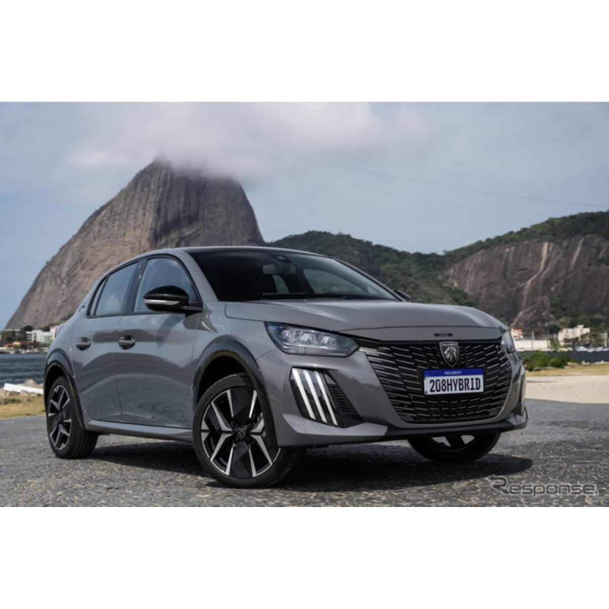 しょち 20250909193429_789_.jpg