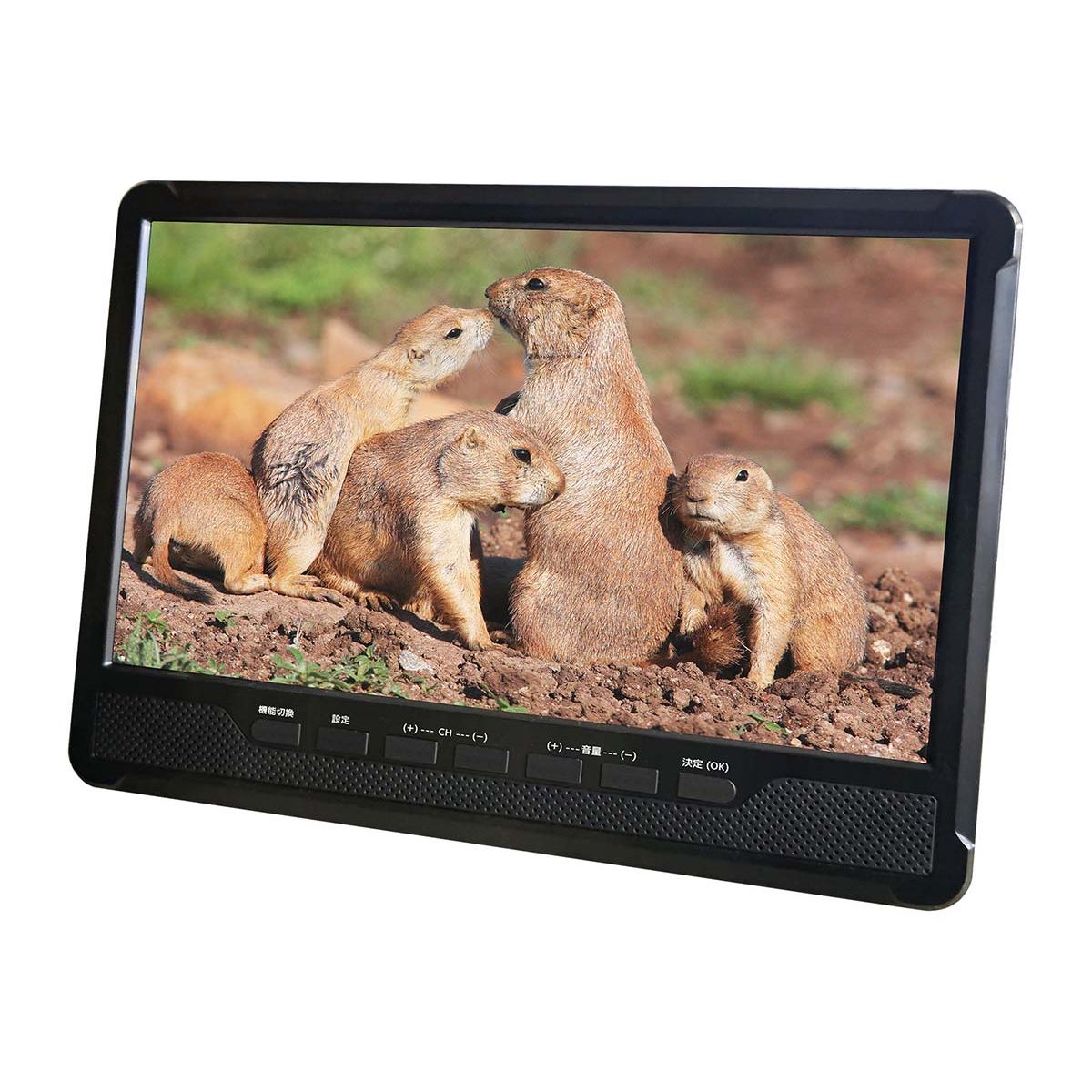 ダイアモンドヘッド、地デジ搭載の10.1型ポータブルDVDプレーヤー「OT