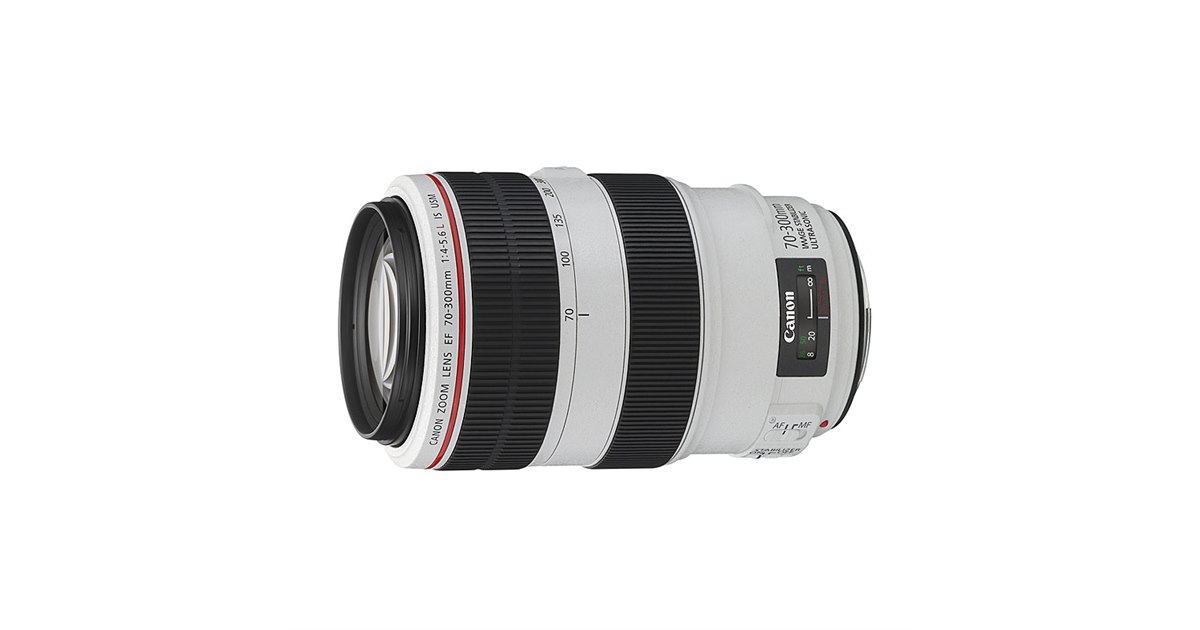 8月22日限定価格【超望遠レンズ】Canon EF 100-300mm USM 8月19日限定価格【超望遠レンズ】Canon EF 100-300mm USM