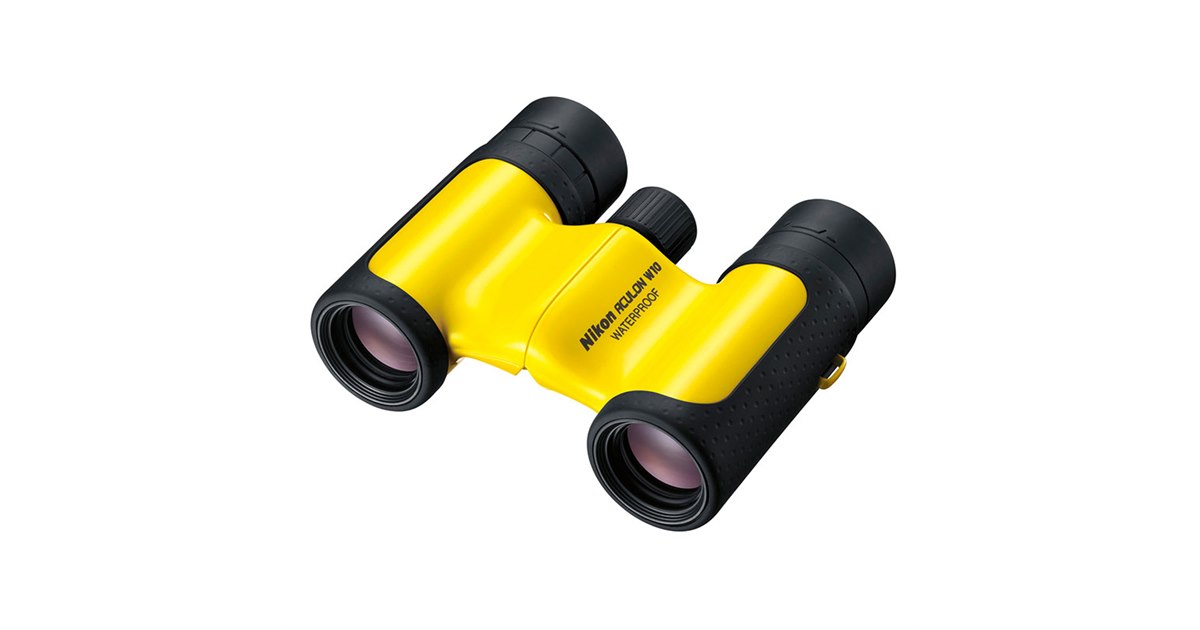 Nikon 双眼鏡 アキュロンA211 8x42 ポロプリズム式 8倍42口径