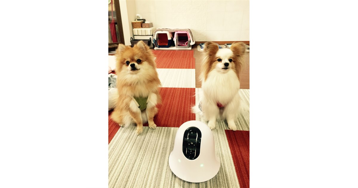 ilbo 移動式 お留守番カメラ Amazon.co.jp: ilbo 移動式 お留守番 ネットワークカメラ 遠隔操作で