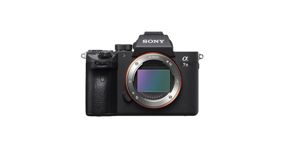 ショット数2,215枚　SONY α7 III ミラーレス一眼 α7 III | デジタル一眼カメラα（アルファ） | ソニー