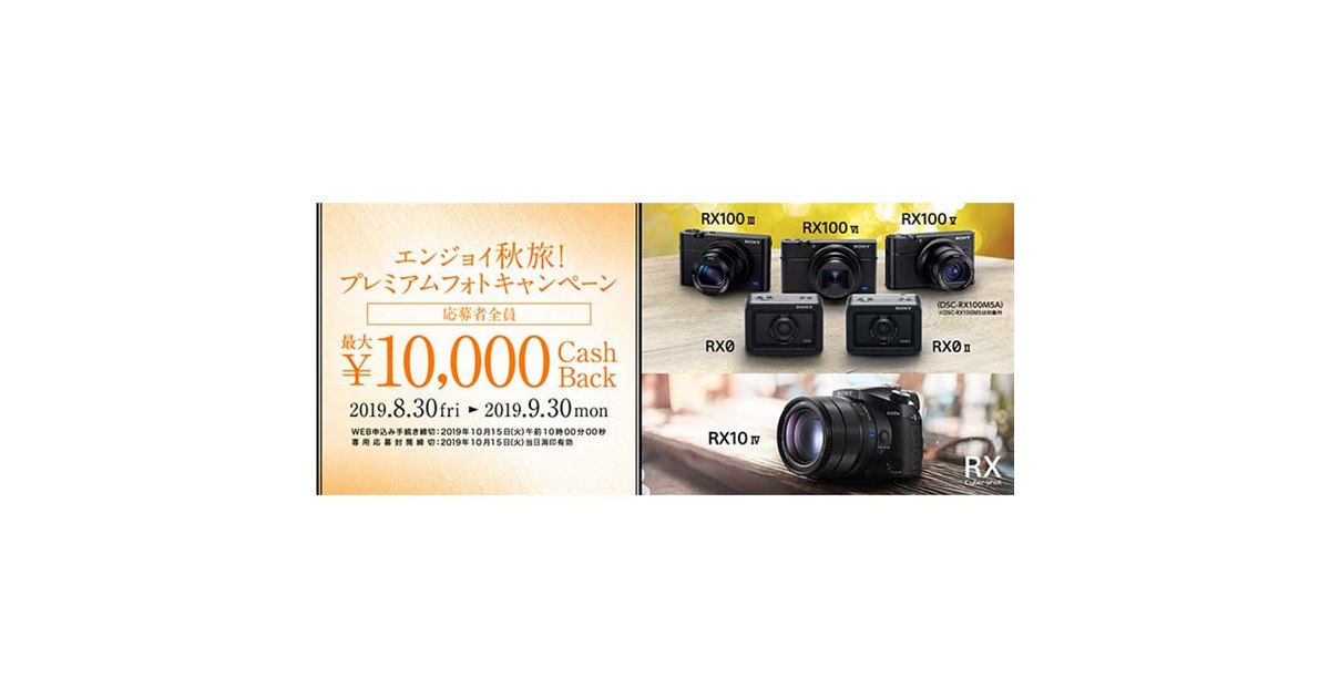 【美品】SONY HDR-FX1000＋アクセサリーキット＋バック 美品】SONY HDR-FX1000＋アクセサリーキット＋バック 美品】SONY HDR