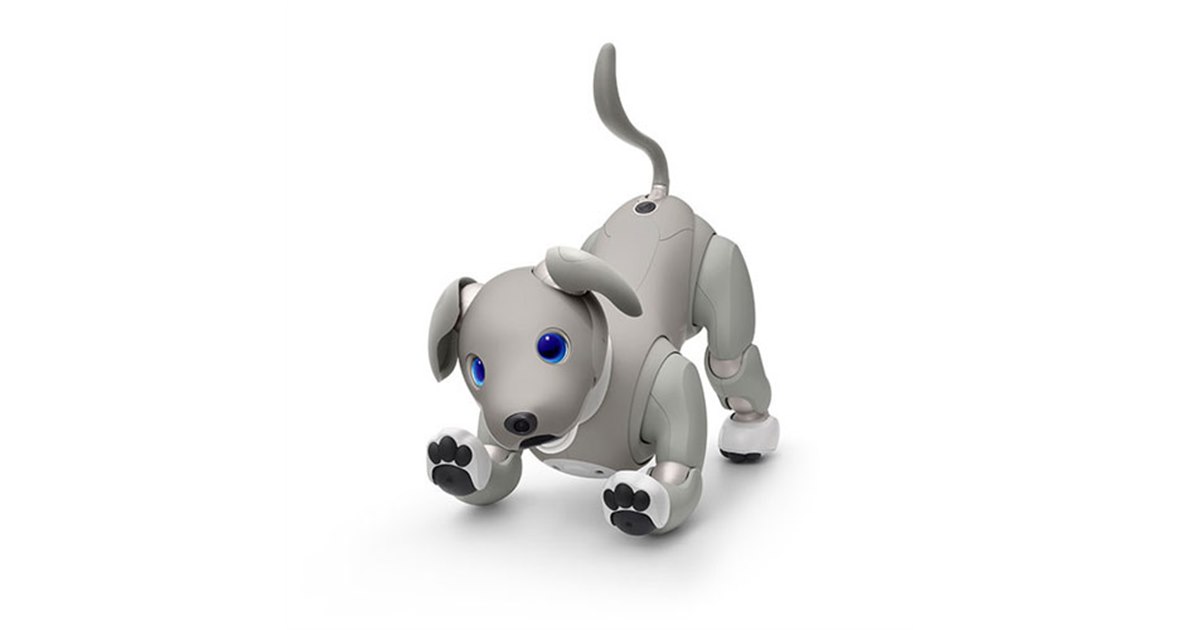 ソニー、aibo（アイボ）の2021年限定カラーモデル「aibo 黒ごま エディション」 - 価格.com