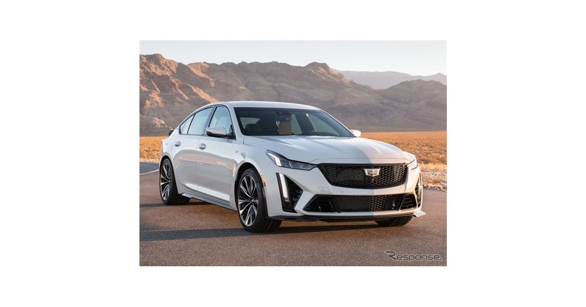 新品ブーメランキャデラックタイプ cadillac-fleetwood-brougham-