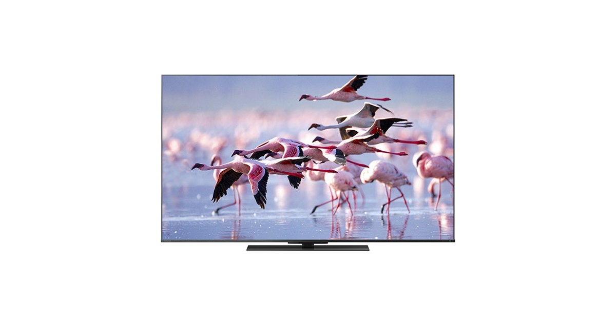 【美品】東芝 4K倍速液晶テレビ 43Z670K REGZA TVS 43V型 液晶テレビ レグザ Z670Rシリーズ 4K倍速液晶