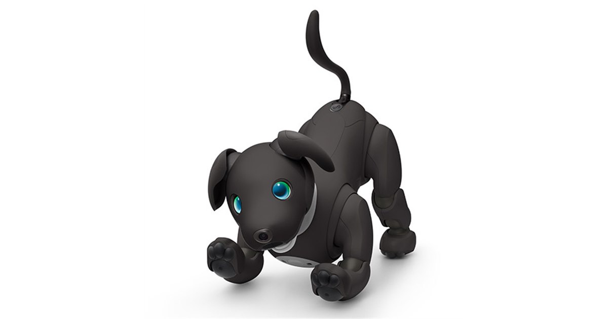 ソニー、「aibo（アイボ）」の2023年カラー「エスプレッソ エディション」予約開始 - 価格.com