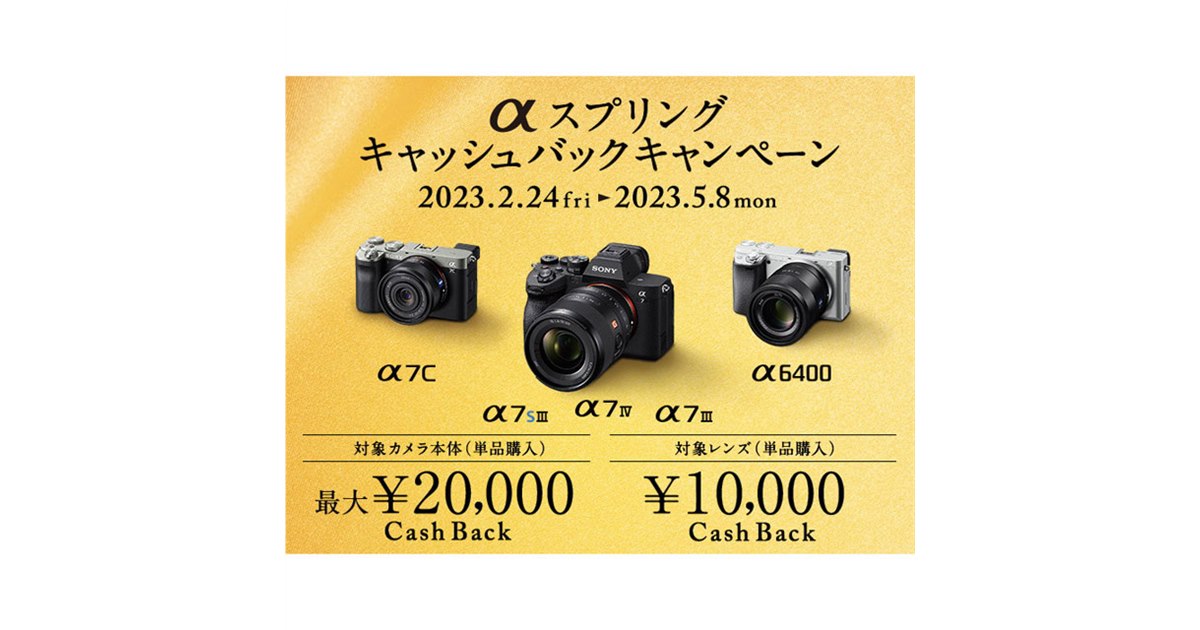 売約済み SONY α65 ダブルズームレンズセット⭐︎おまけキャリーバッグ