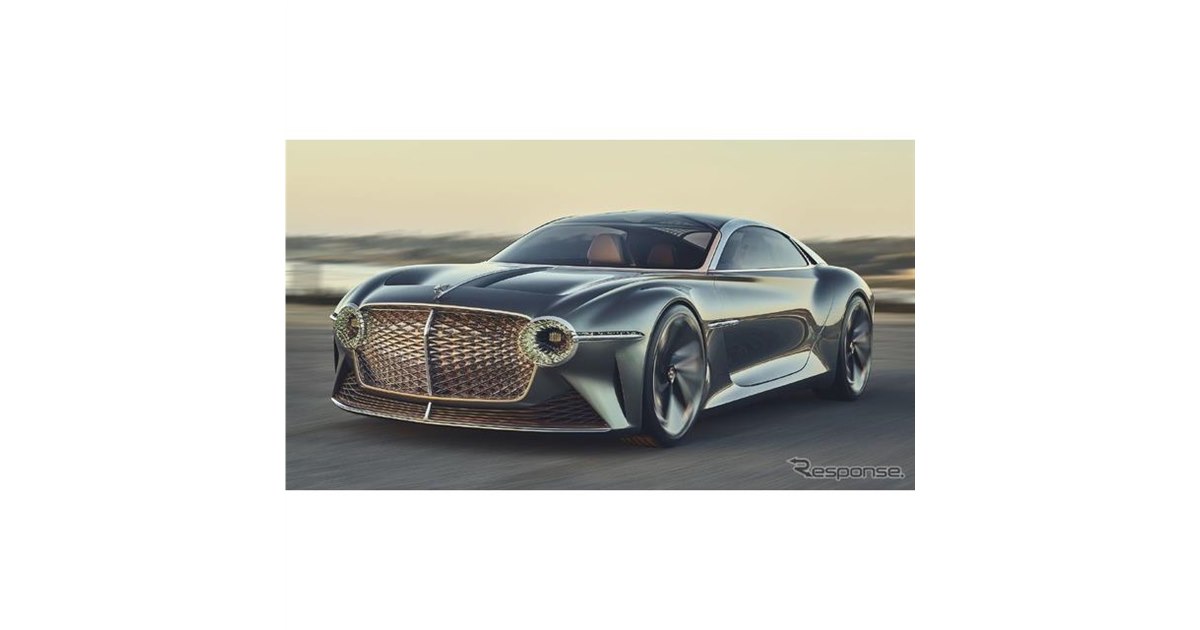 林家ペーパーカー　グレー aiko official website