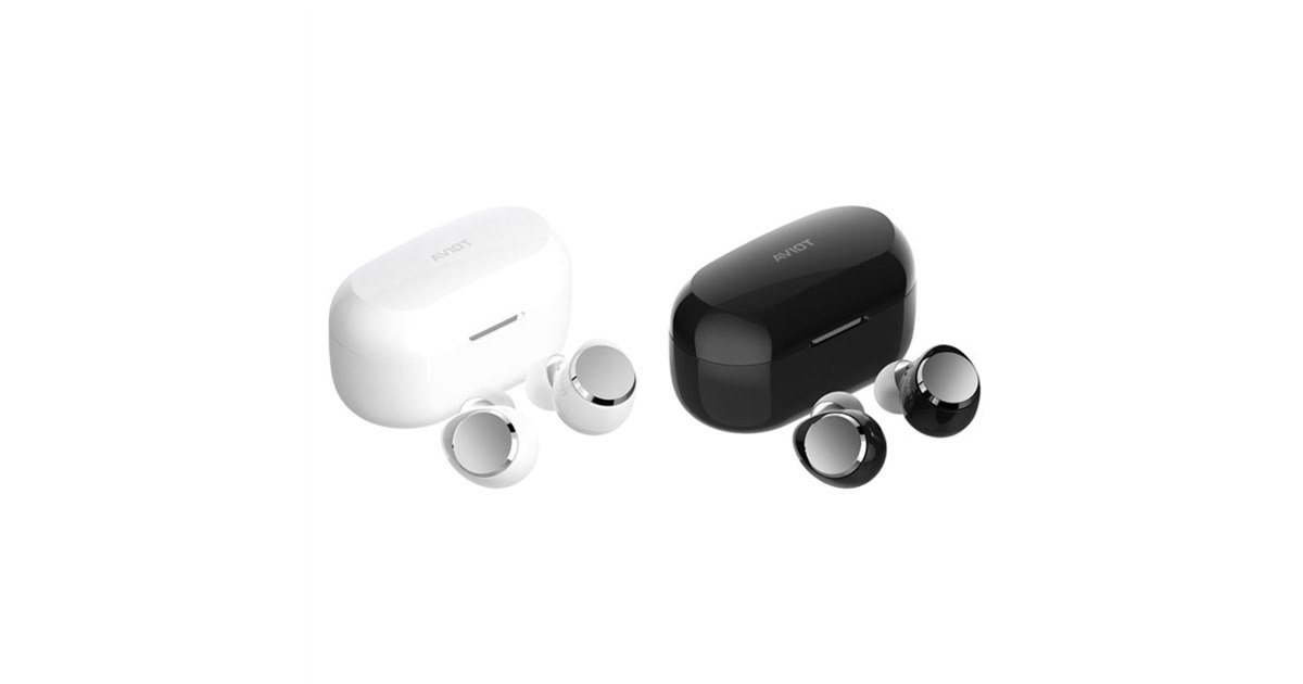 AVIOT TE-V1R ワイヤレスイヤホン AVIOT TE-V1R｜ハイブリッド・デュアルドライバー2.0搭載完全