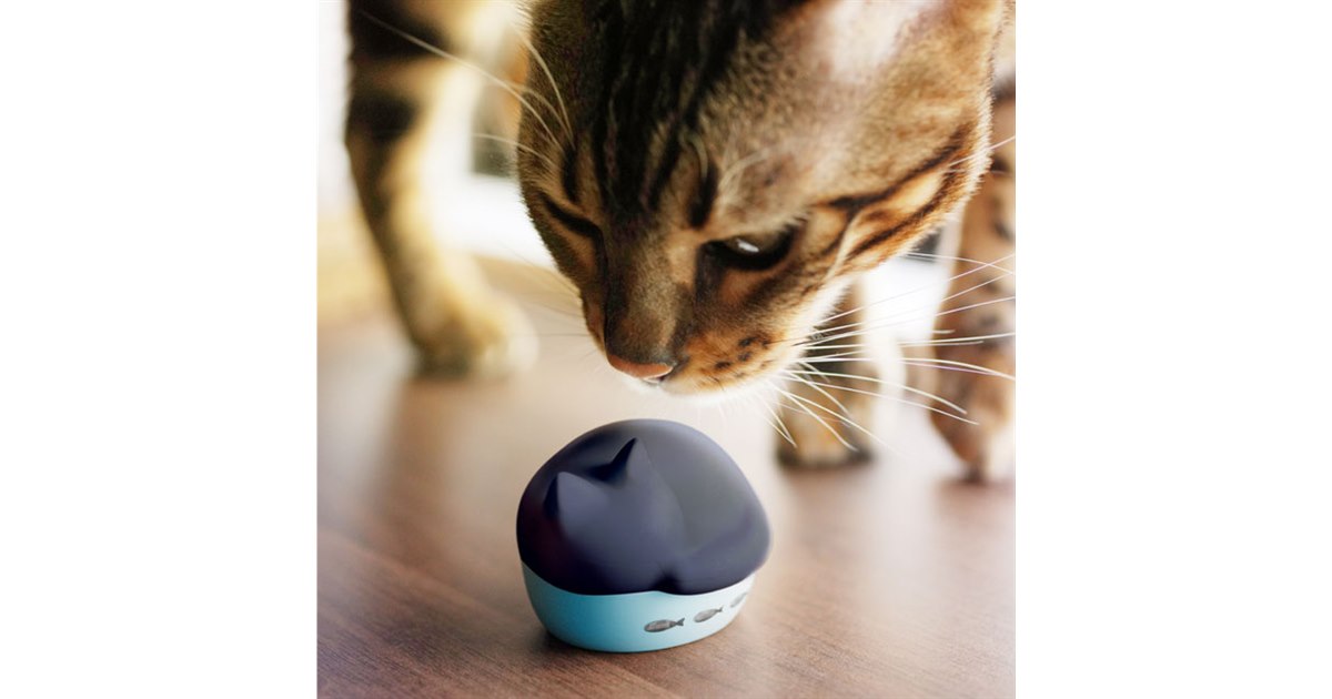ワイヤレスイヤホン  ネコ ラディウス、「猫」モチーフの完全ワイヤレスイヤホンを“世界猫