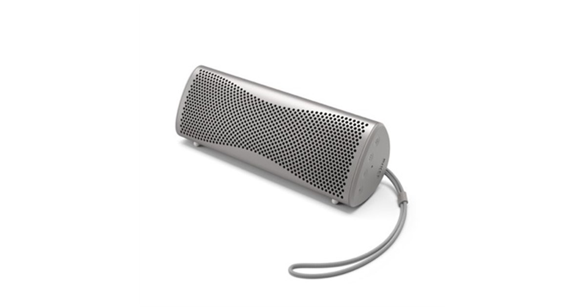 音響免疫療法（スピーカーとアンプのみ） 音響免疫療法（スピーカーとアンプのみ）