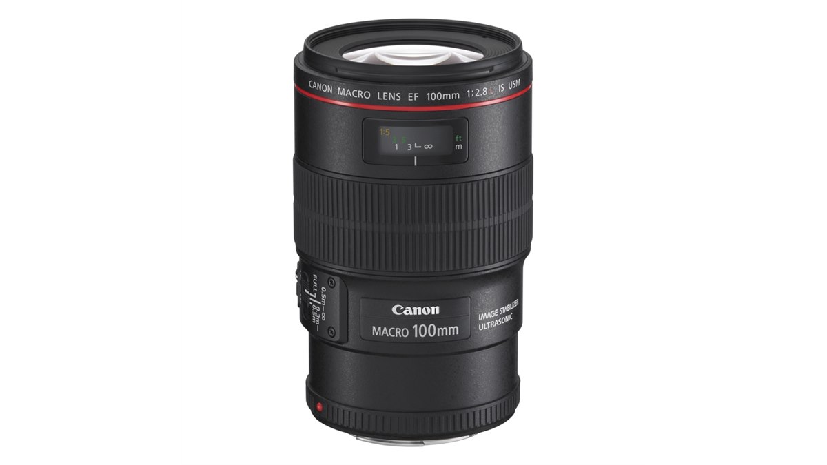Canon 100-300mm ズームレンズ 手ブレ補正 Canon 100-300mm ズームレンズ 手ブレ補正