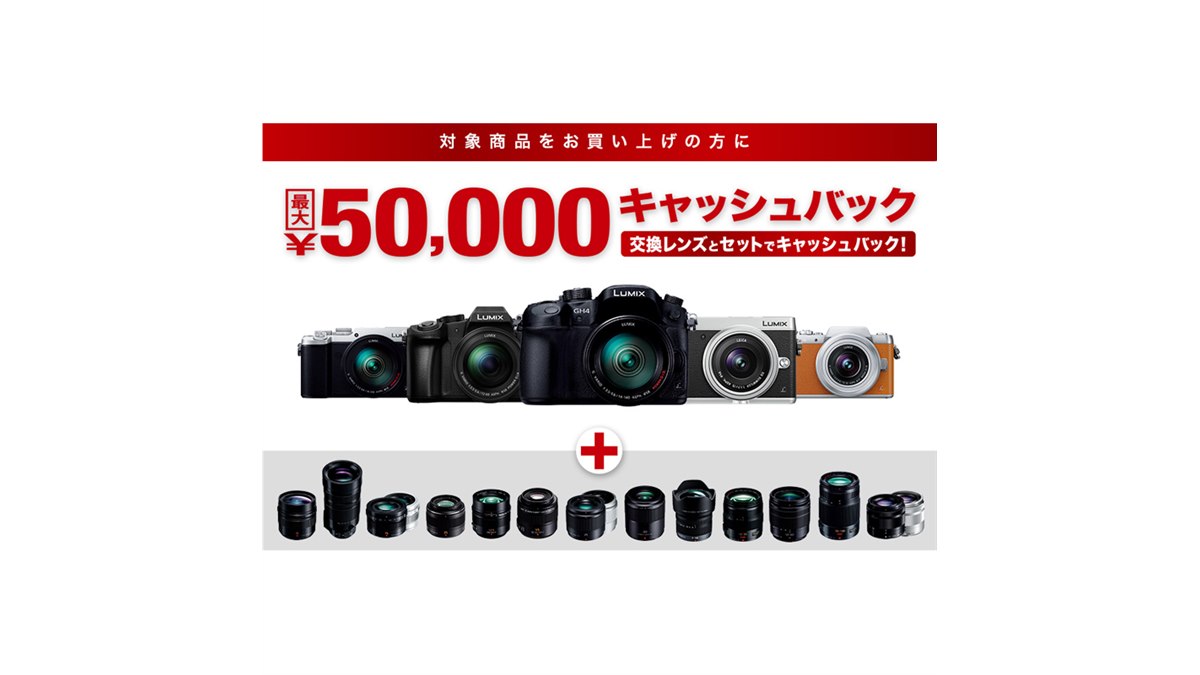 Panasonic LUMIX G 公式通販 レンズ + パナソニック H-H025 Pana DMC