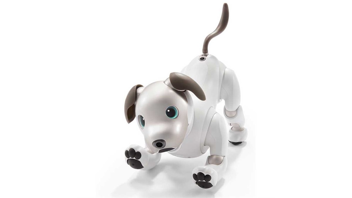 ソニー、オーナーに寄り添うロボット犬「aibo（アイボ）」を198,000円で発売 - 価格.com