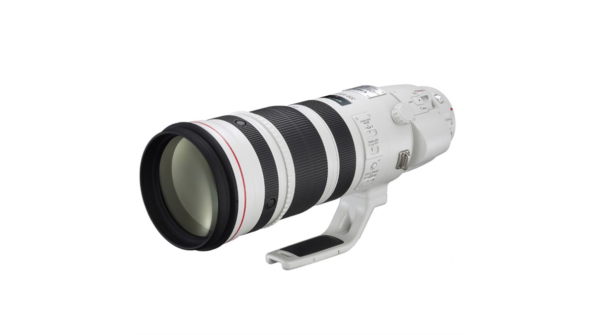 キヤノン、エクステンダー内蔵「EF200-400mm F4L」不具合修正の