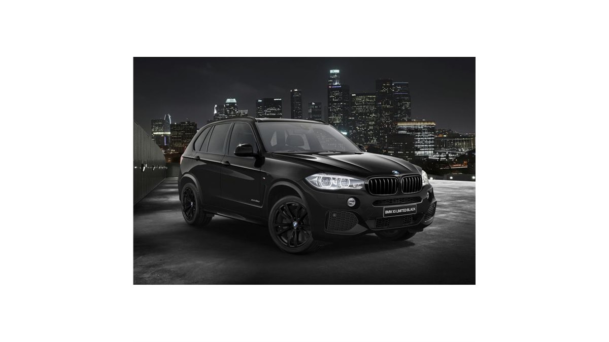 8/4限定値引　2点セット　BMW上 黒 Rallye GTX 50 BMW X6 xドライブ35d Mスポーツ 4WD コンフォート