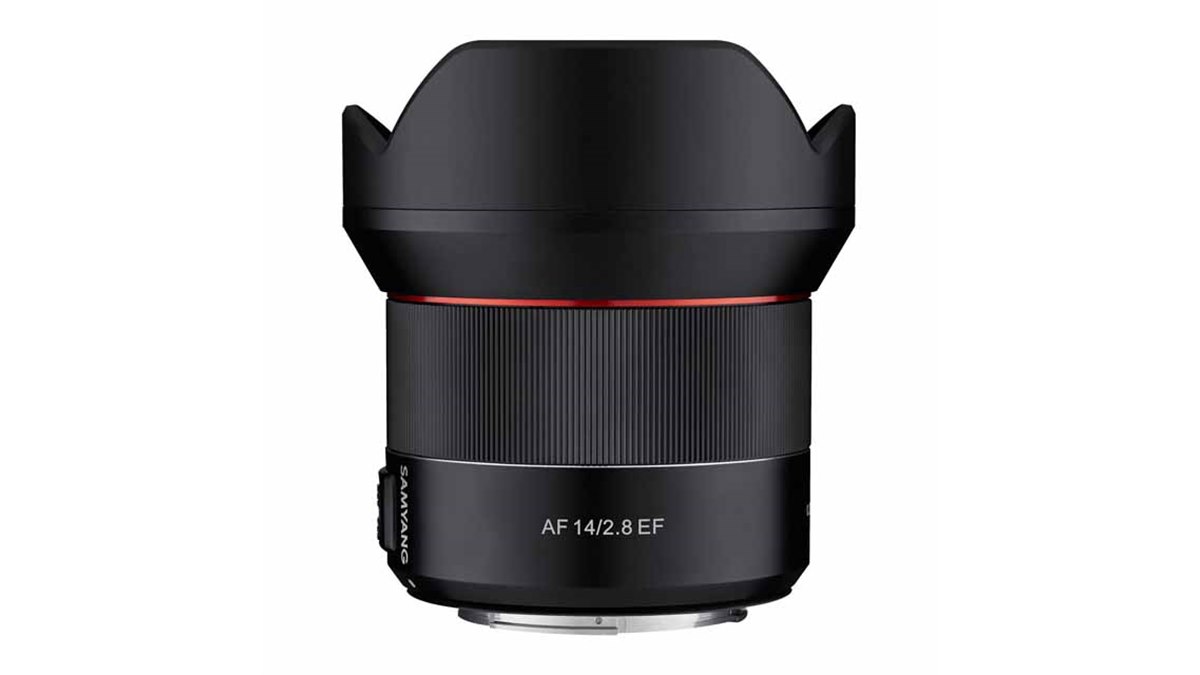 [新同品]SAMYANG AF 14mm F2.8 ニコンFマウント単焦点レンズ Amazon.com : SAMYANG Ultra Wide Angle Lens AF 14mm F2.8 F