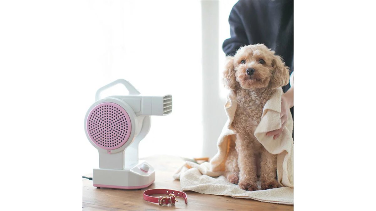 【値下げ！】mangest 猫・犬用ドライヤー ホワイト 20190121175335_665_.jpg