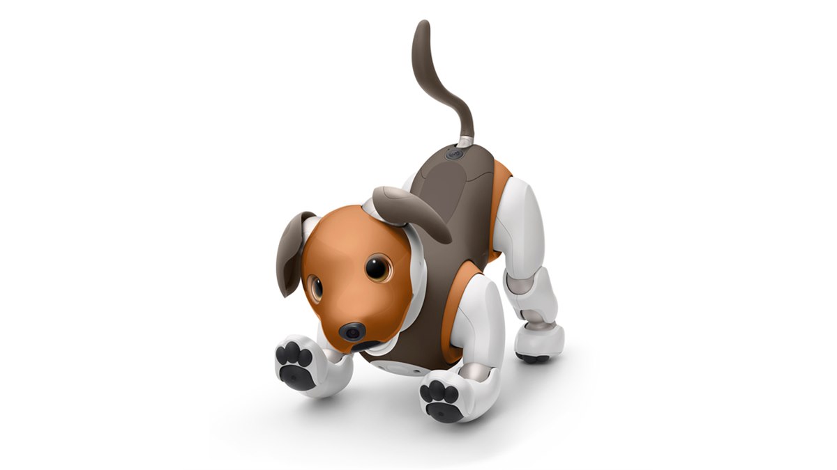 ソニー、aibo（アイボ）の2019年限定カラーモデル「チョコ エディション」発表 - 価格.com