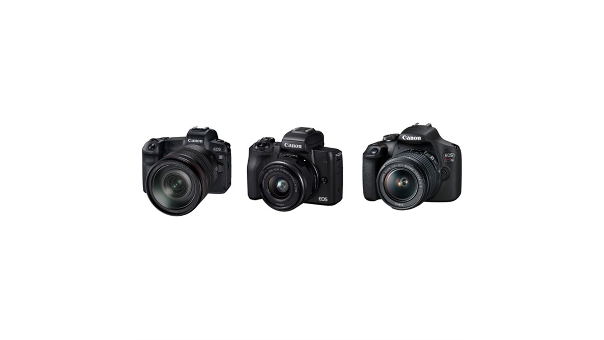 新同] Canon EOS R 本体 シャッター回数1000枚以下 元箱一式