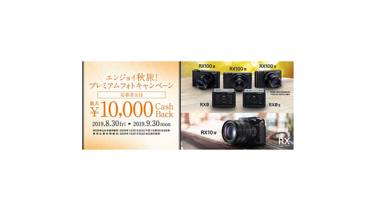 2017/8購入】SONY DSC-RX100/付属品完備/オマケ多数/送料込 2017/8購入】SONY DSC-RX100/付属品完備/オマケ多数/送料込