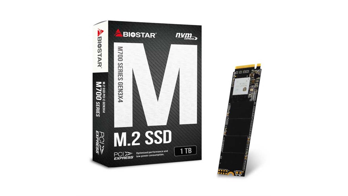 BIOSTAR、NVMe SSDと2.5インチSATA SSDの1TBモデル - 価格.com
