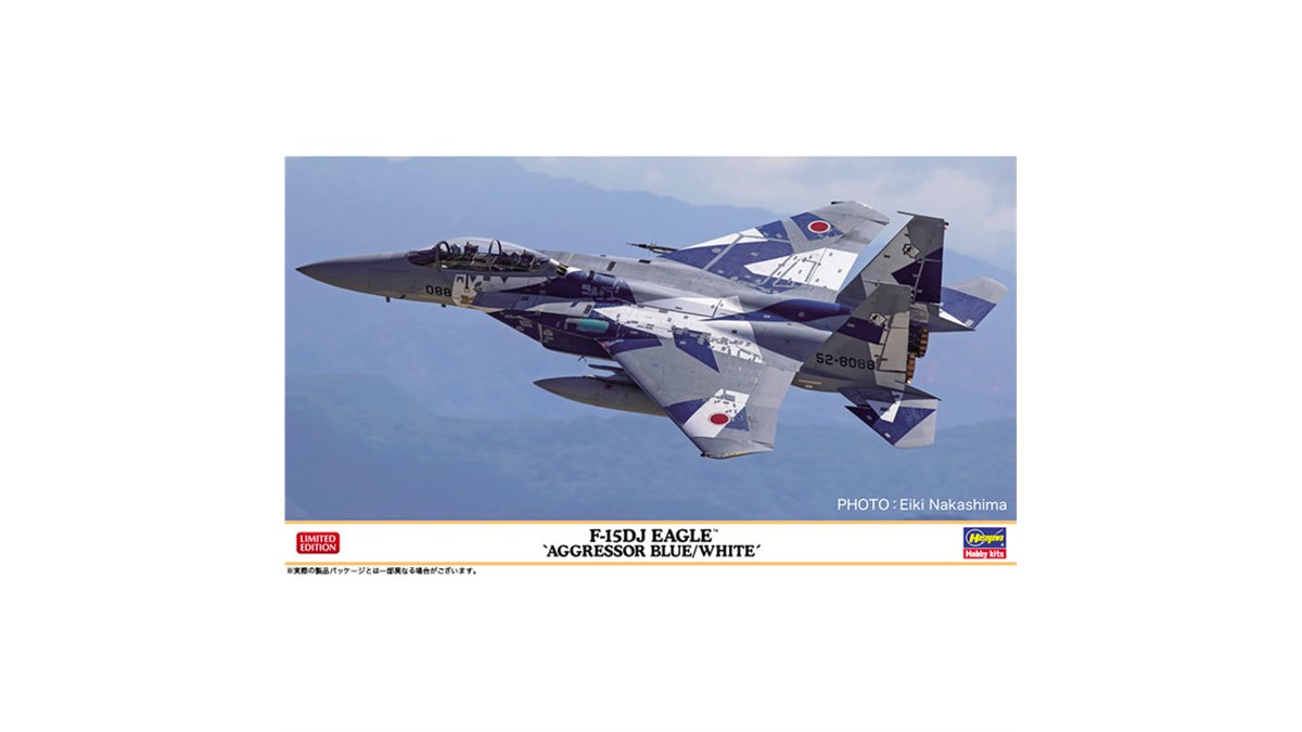 F-15DJ イーグル アグレッサー ブルー/ホワイト 1/72 ハセガワ 20210420191031_204_.jpg