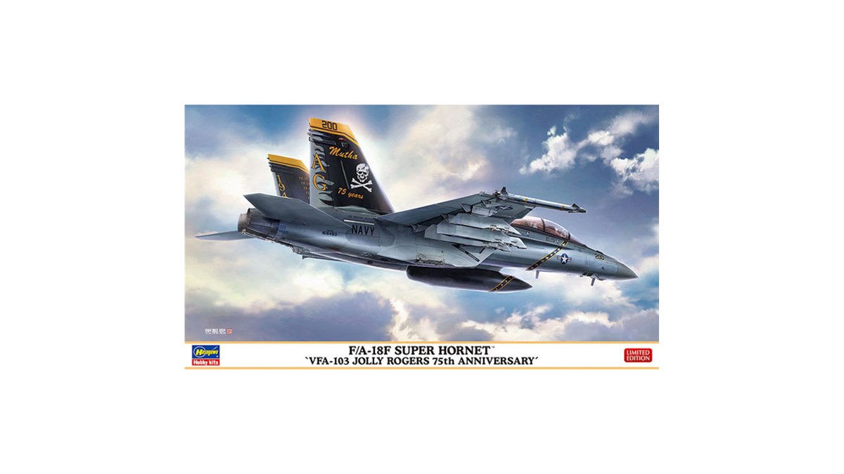 ジョリーロジャース”創設75周年「F/A-18F」特別マーキング機を本日6/23