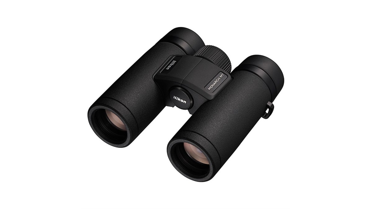ニコン Nikon EDG 8x32 極美品