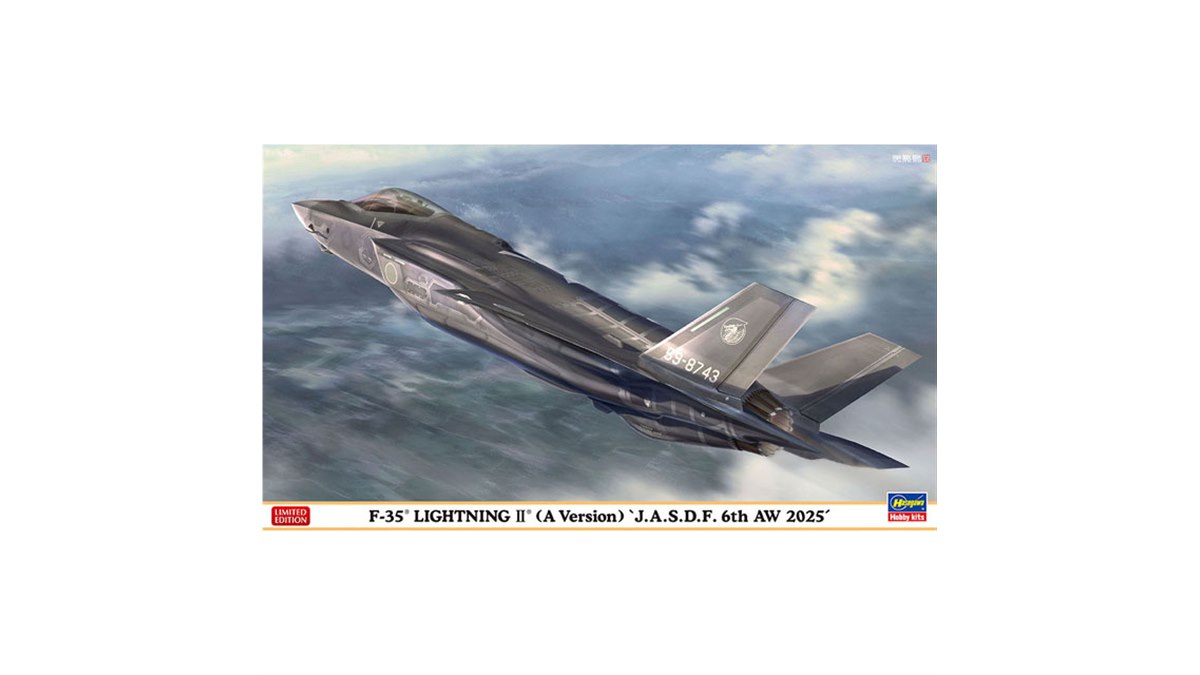 臨時F-35飛行隊 記念 チャレンジ 51sUjQIw-gL._AC_UF350,