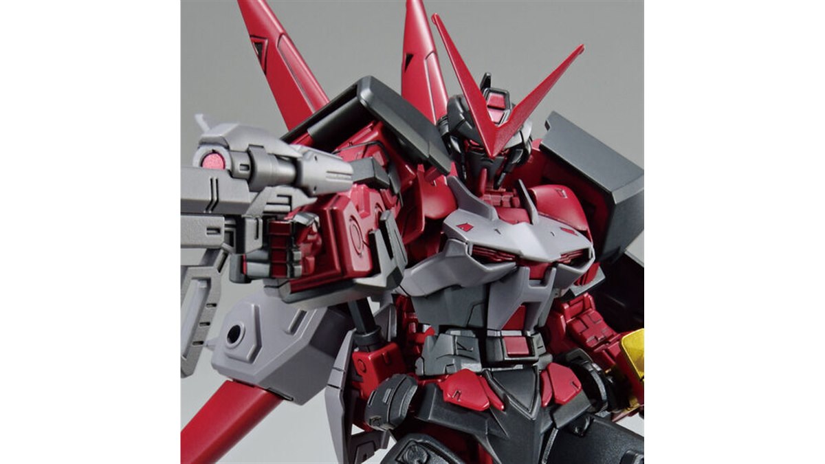 アストレイ系 HGガンプラまとめ売り アストレイ系 HGガンプラまとめ売り