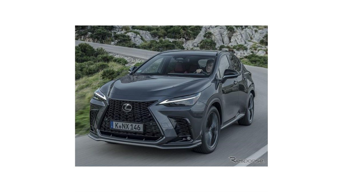 電動乗用　ニューレクサス ミズタニ 乗用玩具 新型 レクサス (LEXUS) LS600hL 電動 バッテリー