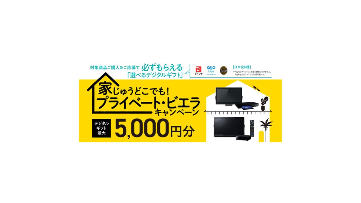 Panasonic - 本日のみ！お値下げ！Panasonic プライベート　ビエラ 本日みつけたお買い得品】持ち運んで使えるパナソニックの
