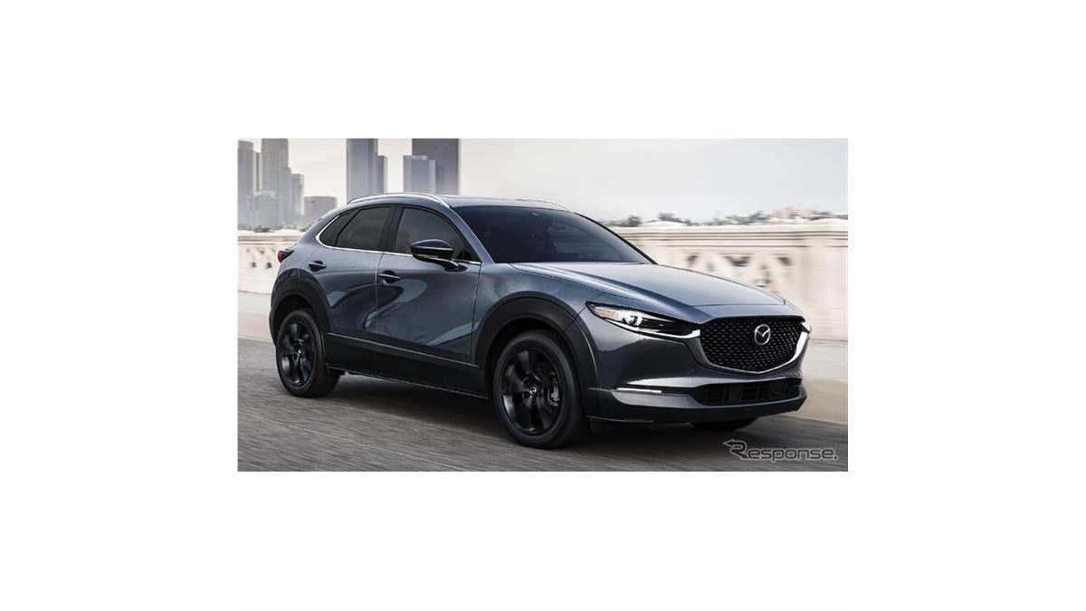 価格ご相談ください！　　2ダース 20221024150009_423_.jpg