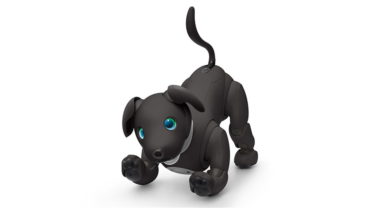 ソニー、「aibo（アイボ）」の2023年カラー「エスプレッソ エディション」予約開始 - 価格.com