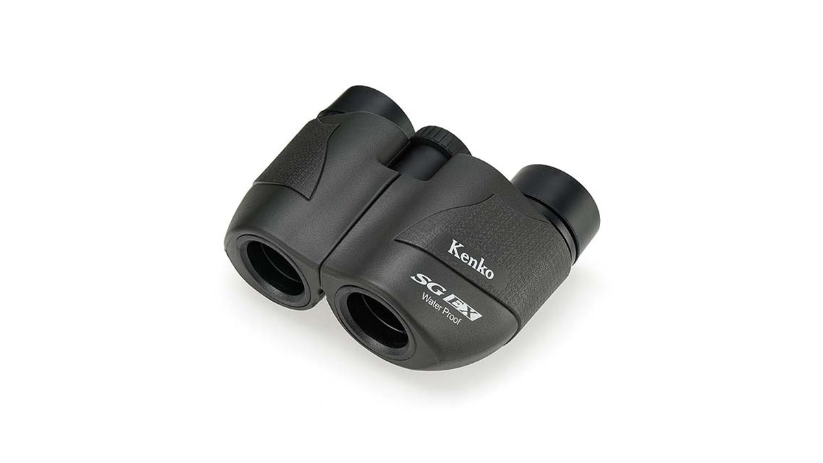 Kenko 双眼鏡 SG EX 10×34 防水 高性能 軽量 観劇 コンサート ケンコー・トキナー ＜メーカー欠品中＞全国送料無料 Kenko