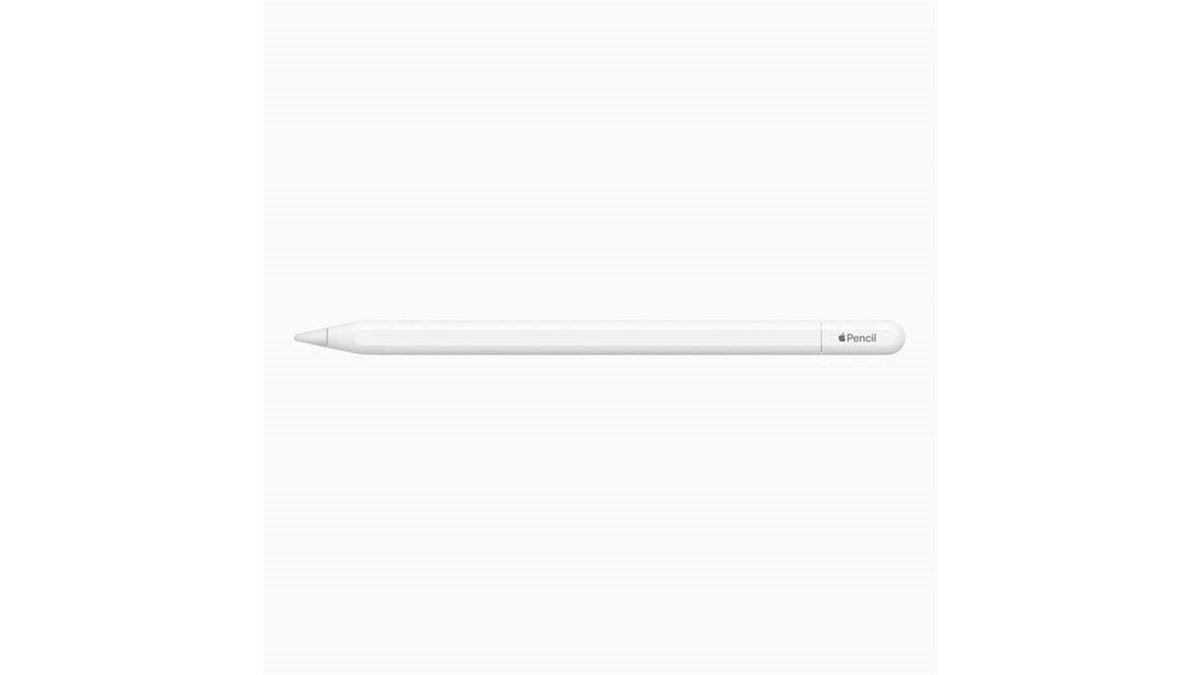 極美品　2024年5月購入品　Apple Pencil USB-C 極美品 2024年5月購入品 Apple Pencil USB-C