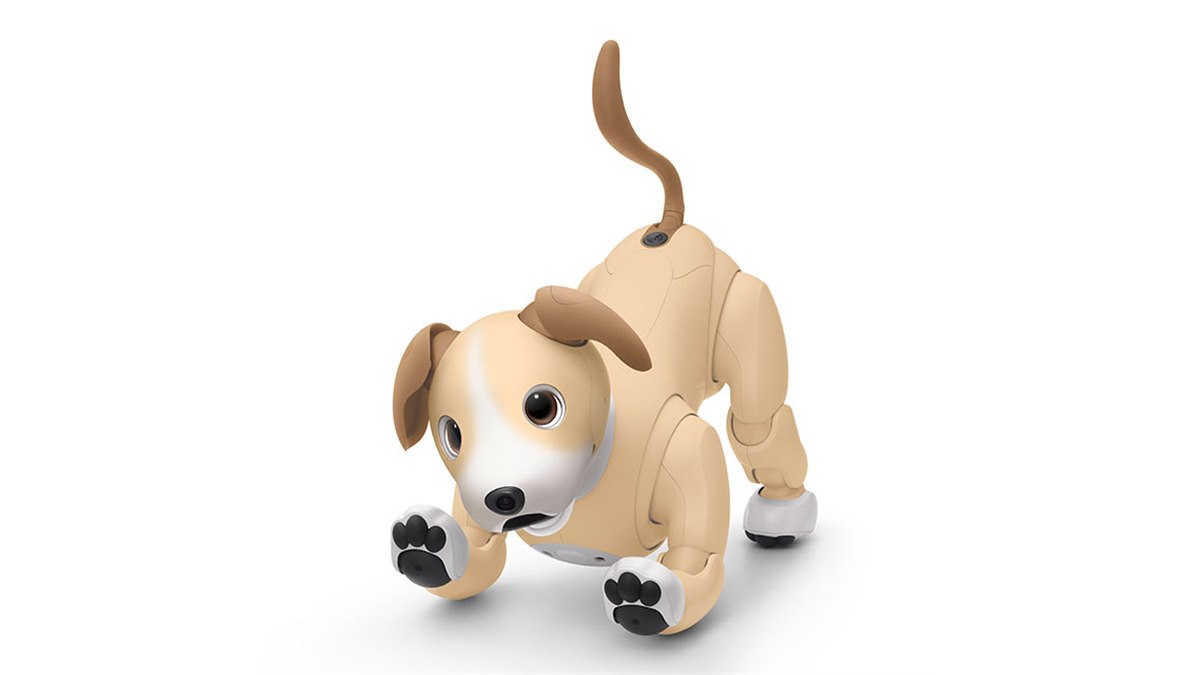 ソニー、「aibo」の2024年カラー「きなこ エディション」 - 価格.com