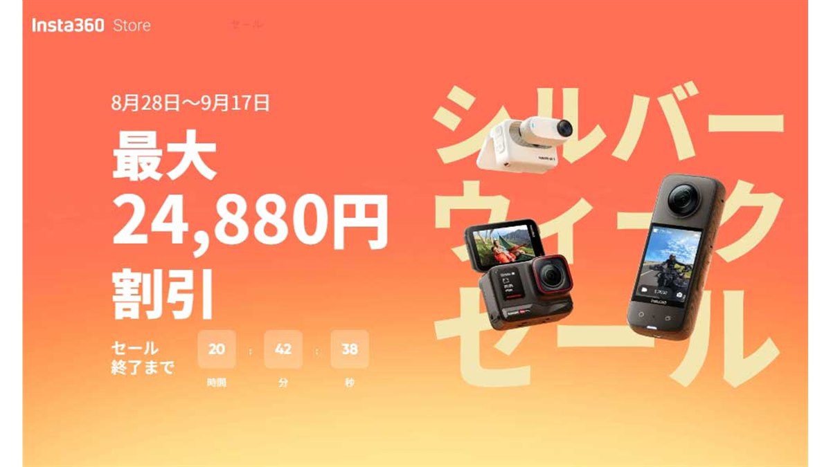 超希少南洋黒蝶ケシケシパールネックレス-【本日のみセール】Insta360 