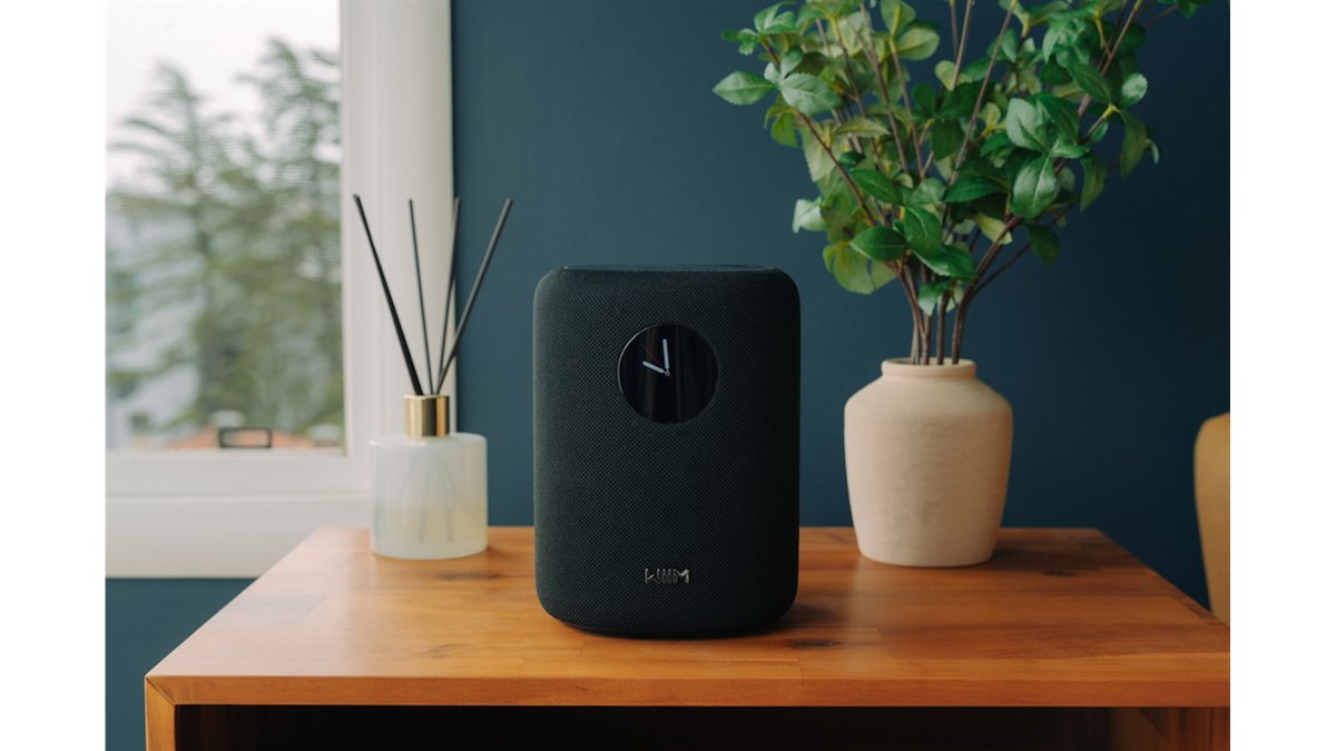 Wiim Mini スマートスピーカー ハイレゾ対応 Amazon.co.jp: 【直輸入品】WiiM Sound スマートスピーカー 1.8インチ