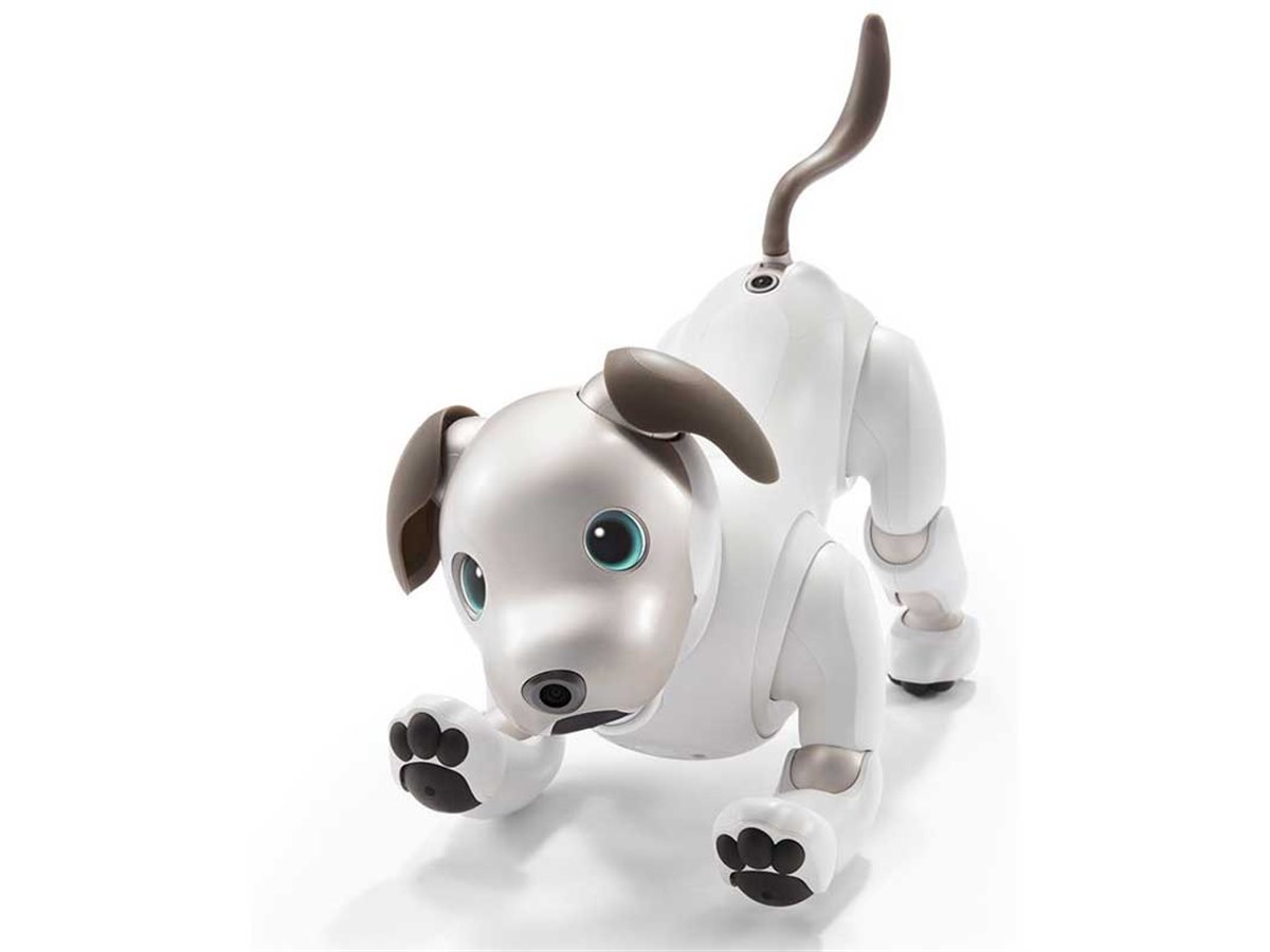 「aibo」が我が家にやってきたら？ 価格.comユーザーアンケートの結果は… - 価格.com