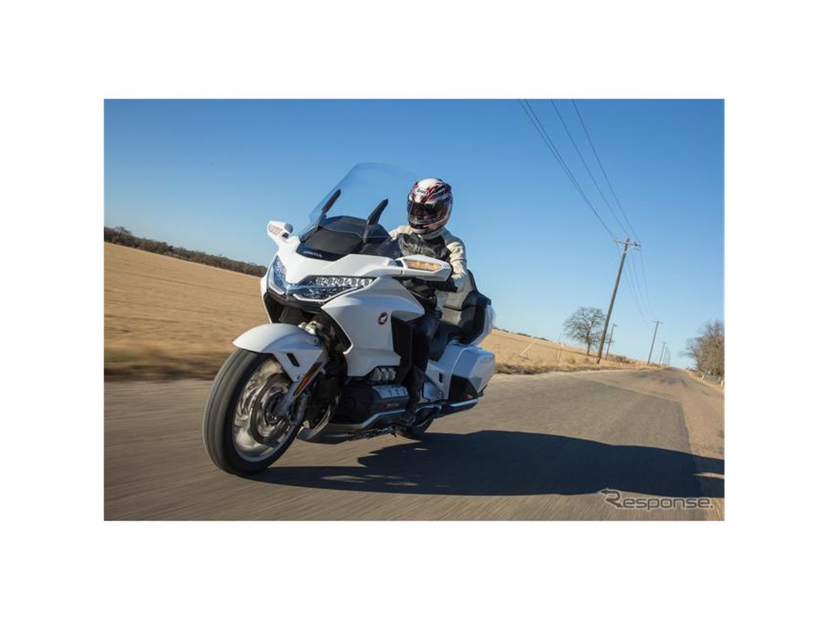 限定値下げ【早い者勝ち】【貴重】トルネードマート★ガルーダウイングベルト★茶★ 限定値下げトルネードマート☆ガルーダウイングベルト☆茶☆